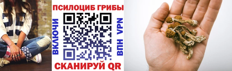 Псилоцибиновые грибы ЛСД  Карабаш 